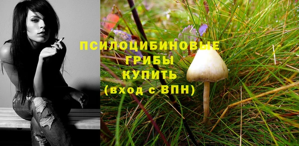 альфа пвп Новозыбков