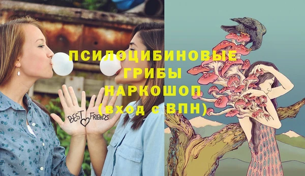 мяу мяу мука Новодвинск