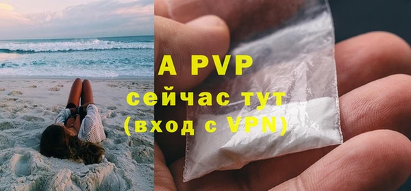 стаф Новокубанск