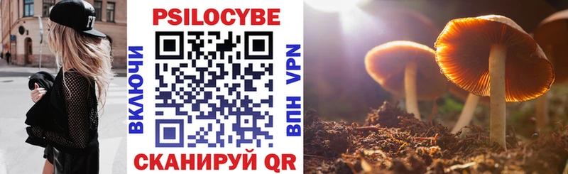 hydra ссылка  Темников  Псилоцибиновые грибы Cubensis  сколько стоит 